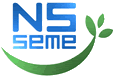 Ns Seme